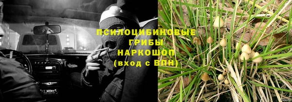 круглые Осташков