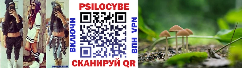 наркота  Аркадак  OMG зеркало  Галлюциногенные грибы Psilocybe 